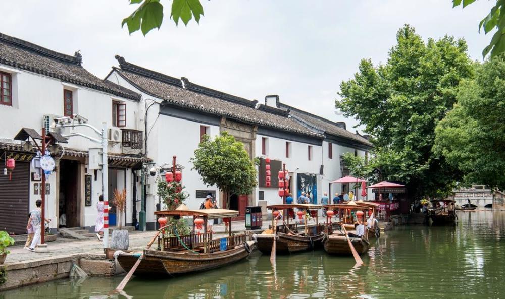 营救小乌龟